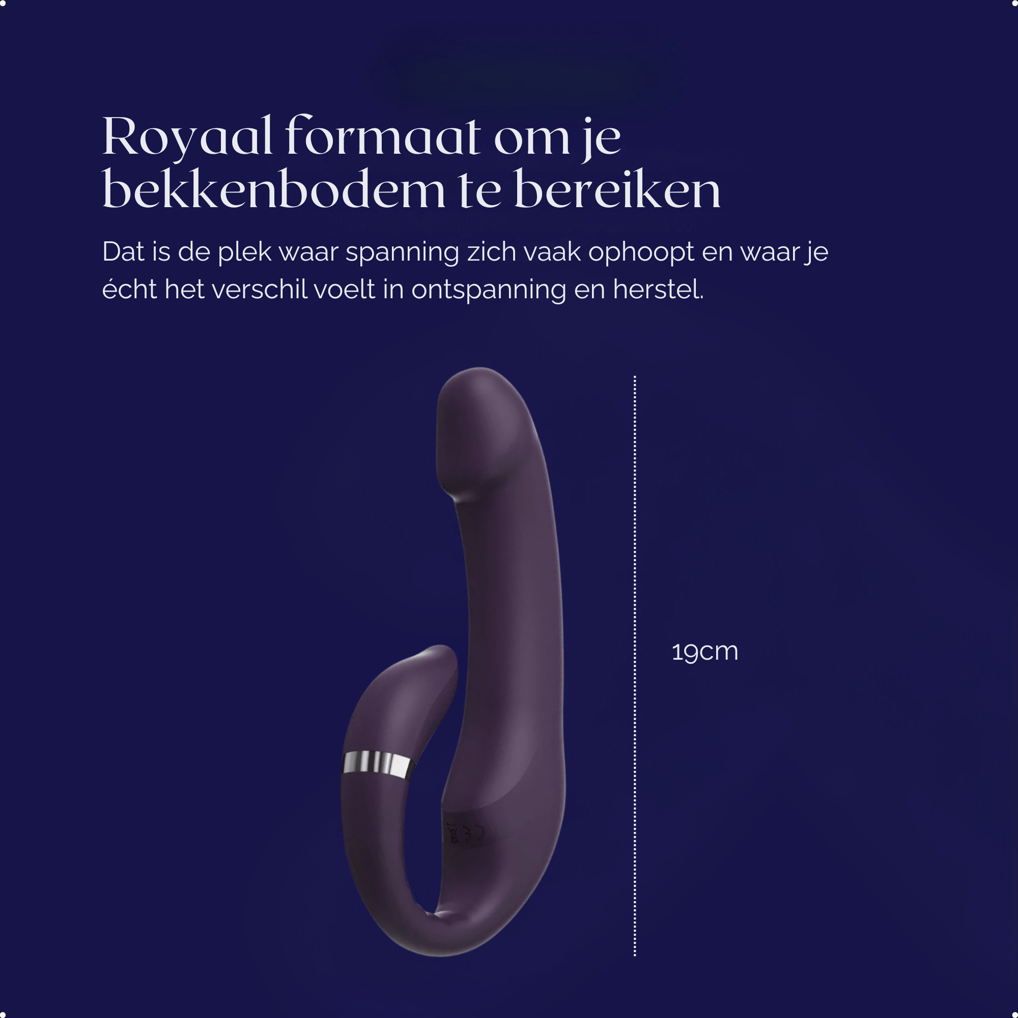 Libido Reset Vibrator - Bold - NUMY